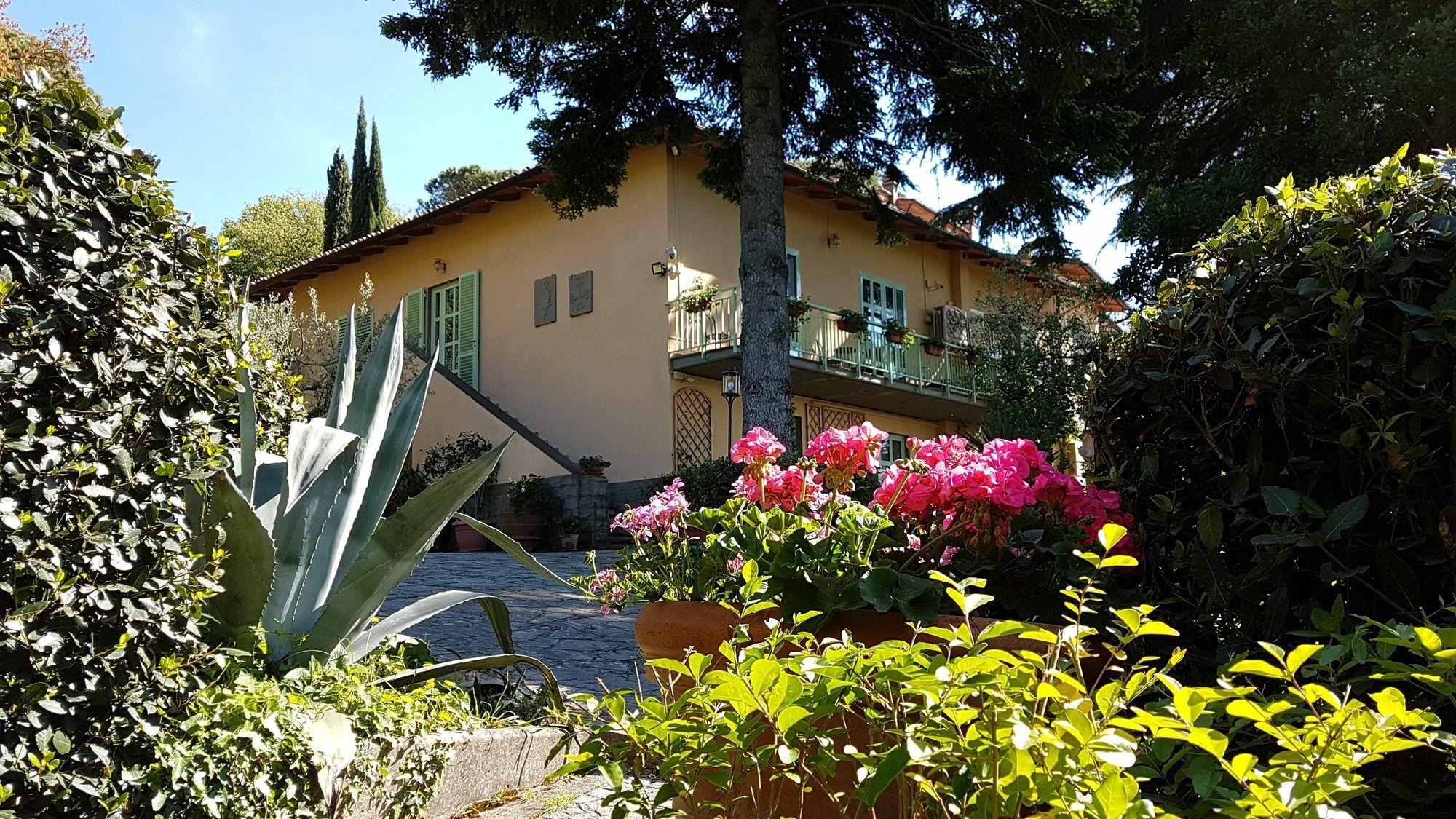 Bed and Breakfast Ulivi Di Castello Флоренция Экстерьер фото